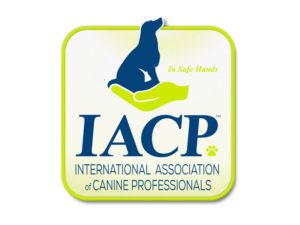 2017 IACP Podcast