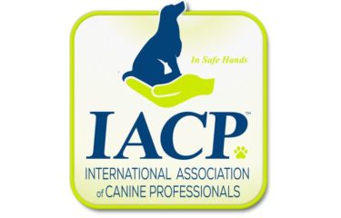 2017 IACP Podcast